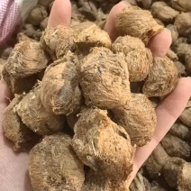 桑螵蛸熟桑螵蛸贵州大棉只卖好货品质保证价格优惠