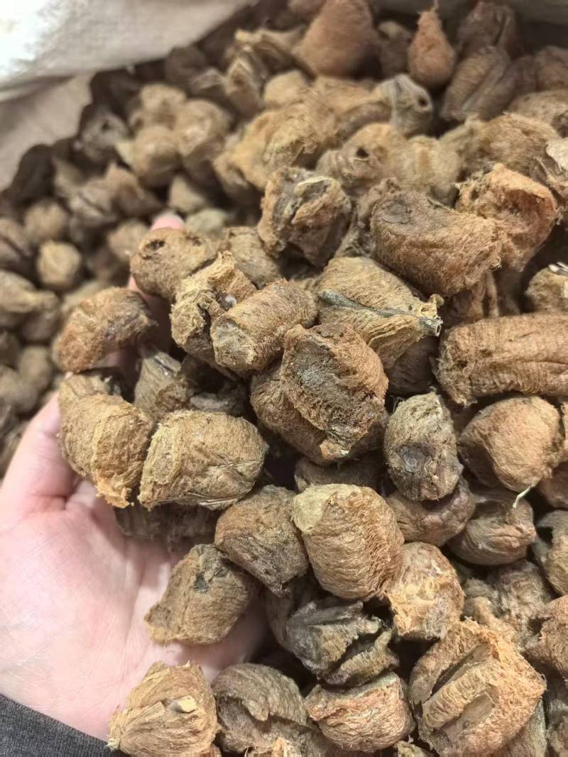 桑螵蛸熟桑螵蛸贵州大棉只卖好货品质保证价格优惠