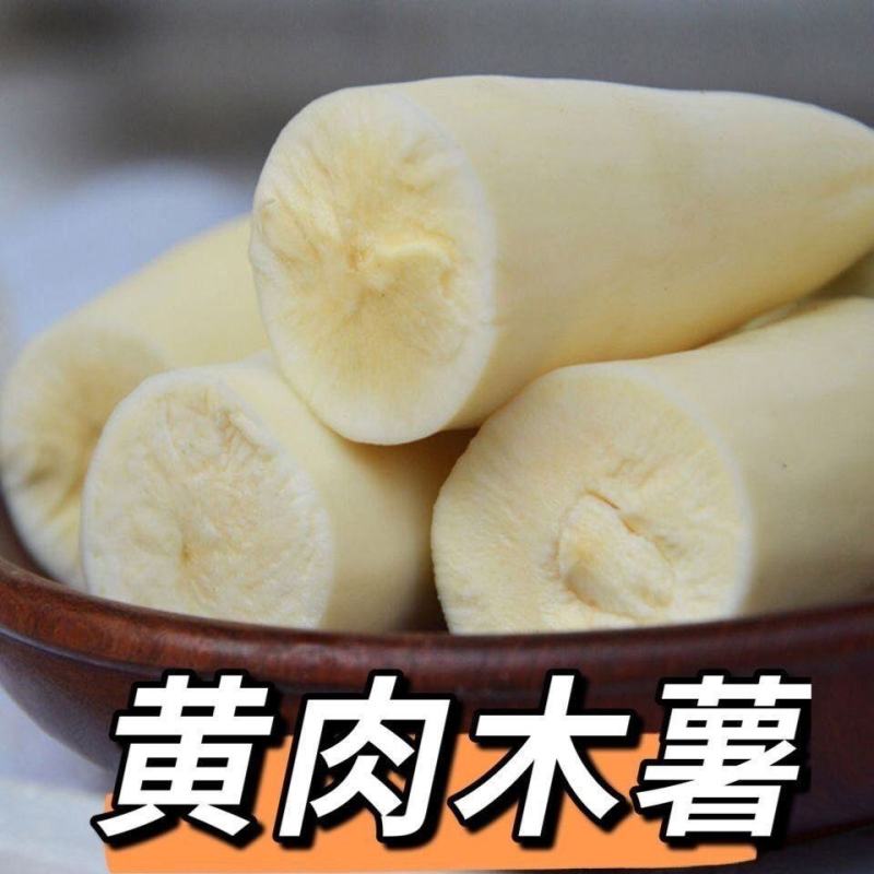 广西华南9号木薯