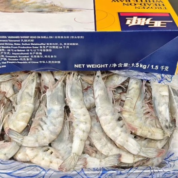 南美白虾