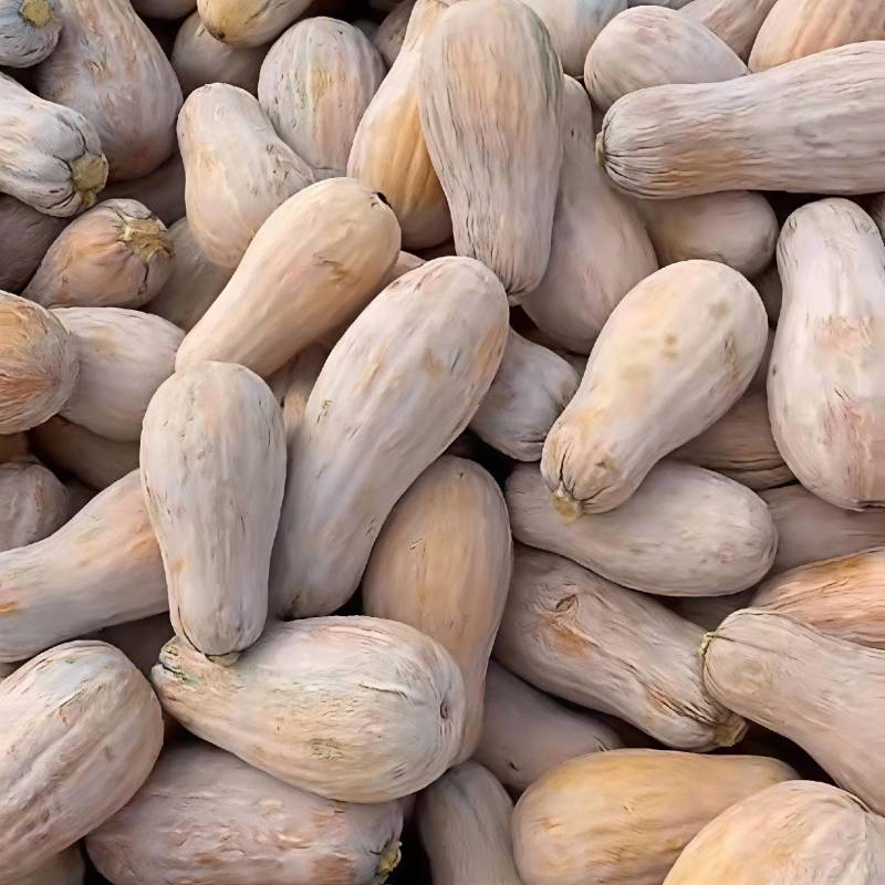 吊南瓜蜜本南瓜粉糯香甜产地直供大量批发