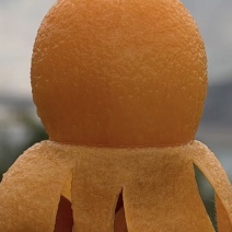 大五星枇杷