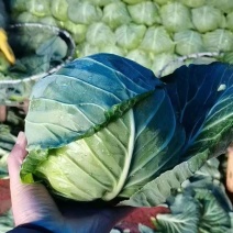 精品绿甘蓝，颜色绿，质量好，货源充足，保质保量，物流方便