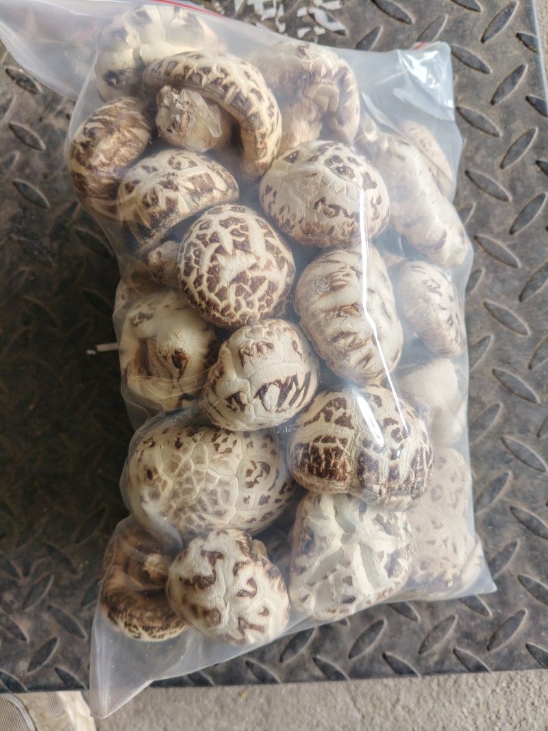 河南泌阳县带脚大花菇新货精选花菇产地直供