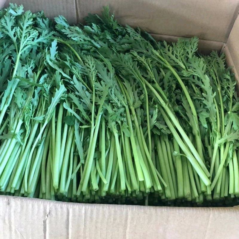 【推荐】茼蒿