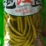 岳阳市华容县，鱼酸菜，酸豆角，梅干菜，新鲜切好雪里蕻捞菜