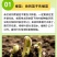 黄瓜秧苗水果黄瓜苗