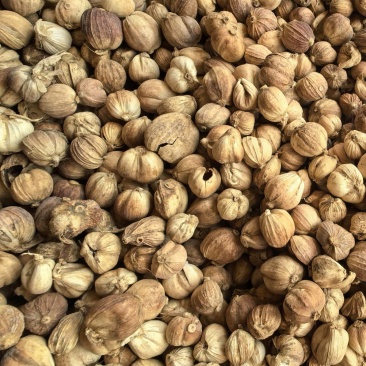 白蔻白豆蔻统货质量保证价格实惠