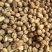 白蔻白豆蔻统货质量保证价格实惠
