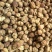 白蔻白豆蔻统货质量保证价格实惠