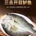 七星鲈鱼0.7-1.5斤