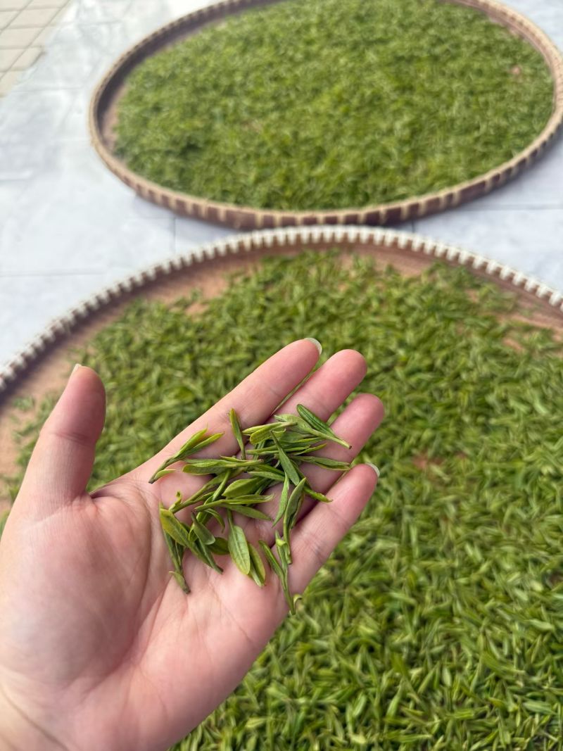 西湖龙井全手工茶