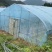 600万拿下建德农场630亩私家农场使用权+两栋精品民宿