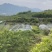 600万拿下建德农场630亩私家农场使用权+两栋精品民宿