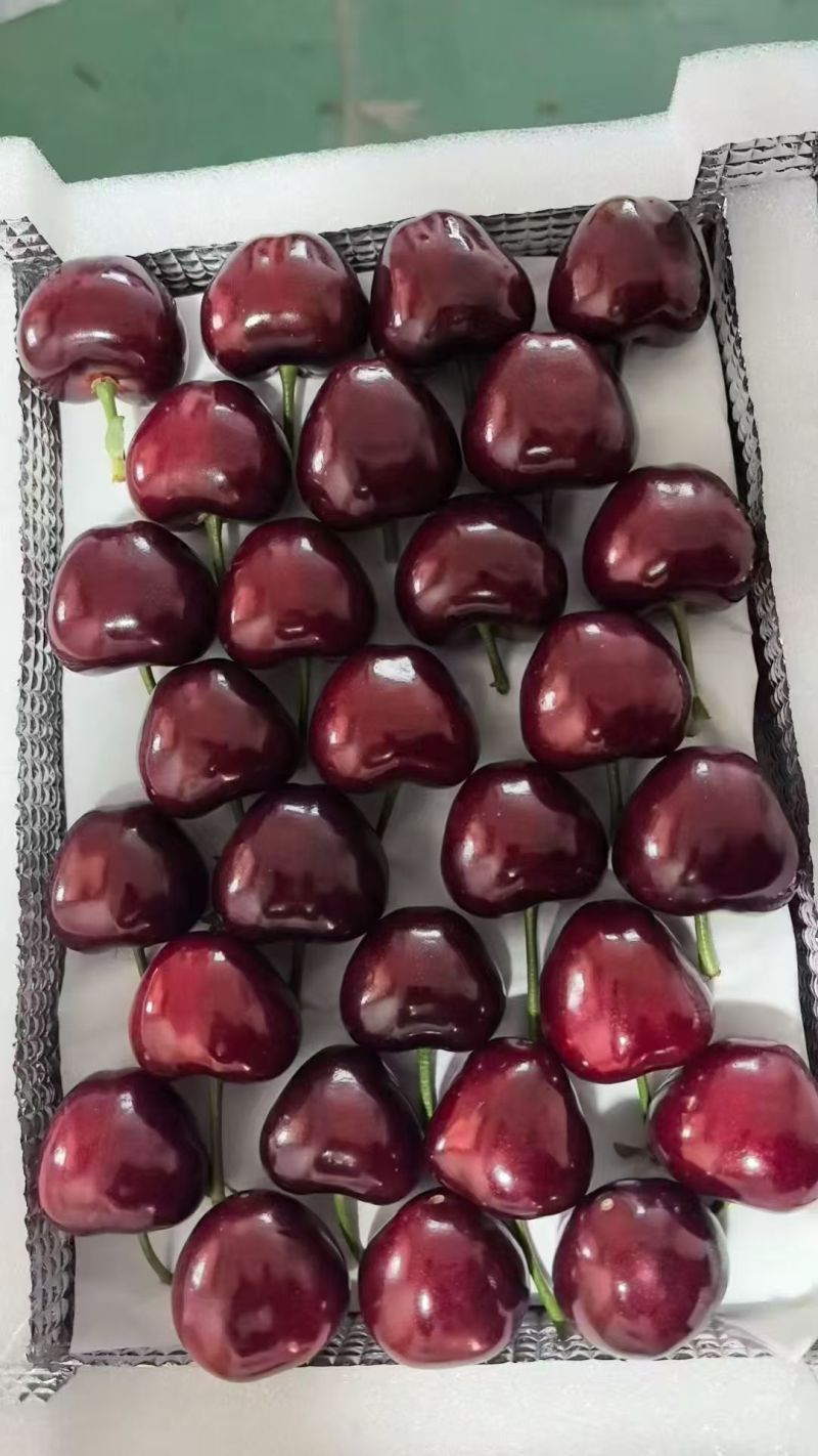 樱桃