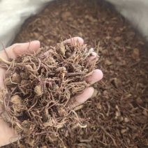 紫苑自己加工祥泰药材栈中药材批发零售实物拍摄量多从优