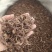 紫苑自己加工祥泰药材栈中药材批发零售实物拍摄量多从优