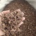 紫苑自己加工祥泰药材栈中药材批发零售实物拍摄量多从优