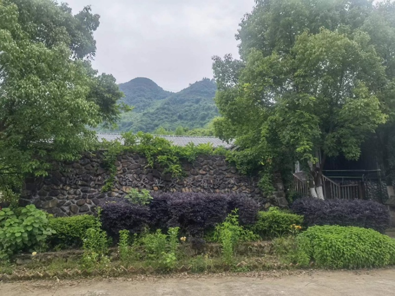 600万拿下建德农场630亩私家农场使用权+两栋精品民宿