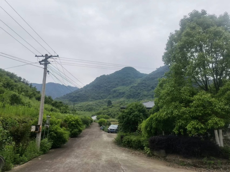 600万拿下建德农场630亩私家农场使用权+两栋精品民宿