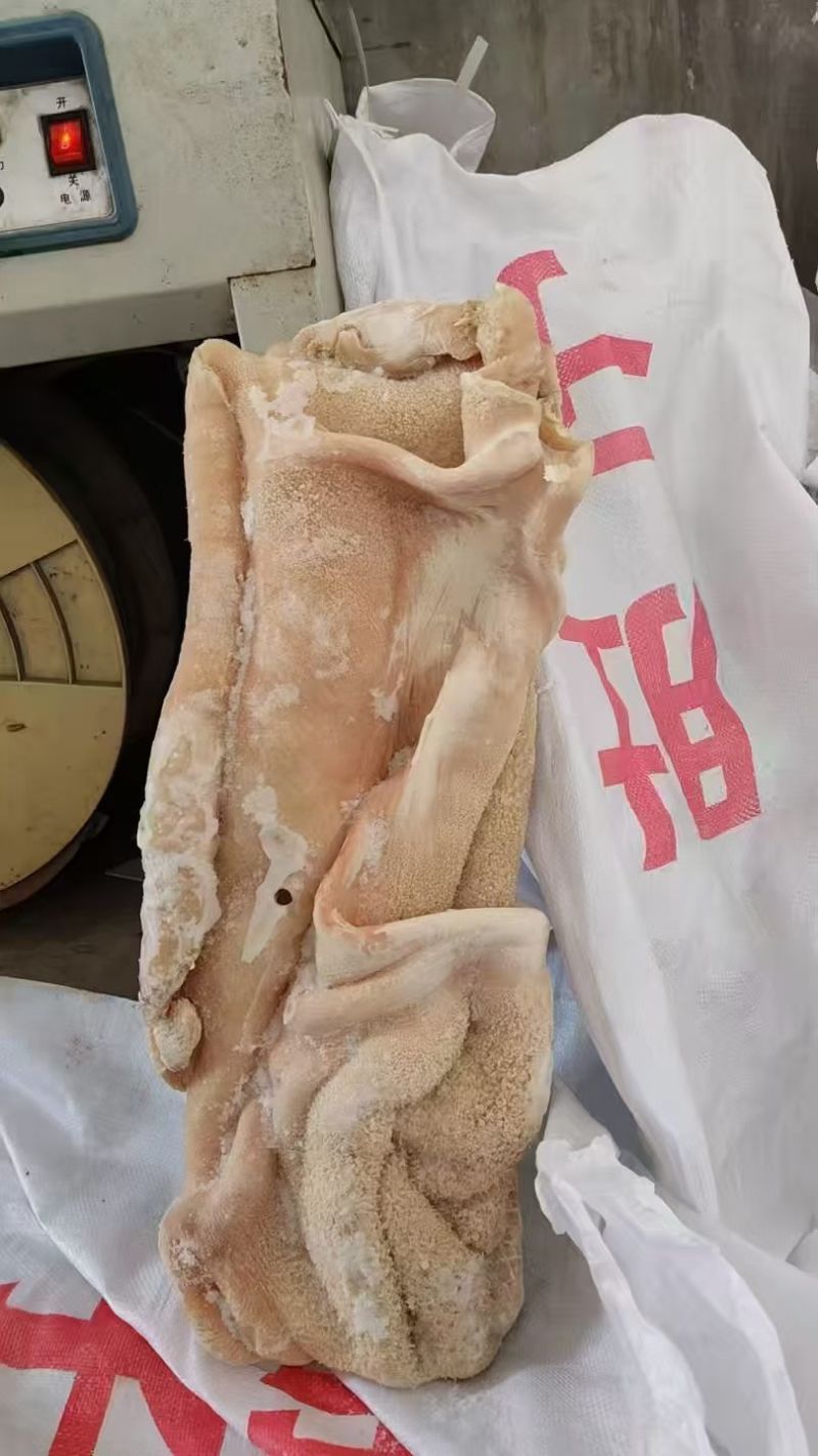 国产纯干七成熟牛肚，出秤高，纯水煮，无水无油，带金钱肚！