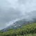 西湖龙井二采龙井43原产地直供半斤装可线上交易