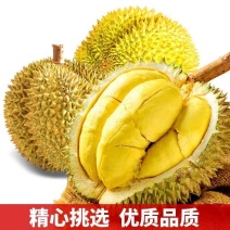 泰国金枕榴莲甲仑托曼尼支持代采电商一件代发