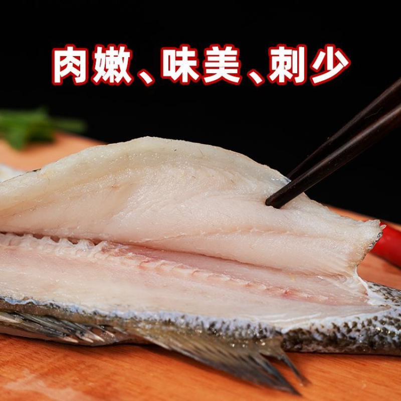 开背海鲈鱼7两-1.5斤通货，一手货源，量大价优，欢迎。