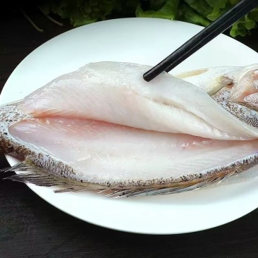 开背海鲈鱼7两-1.5斤通货，一手货源，量大价优，欢迎。