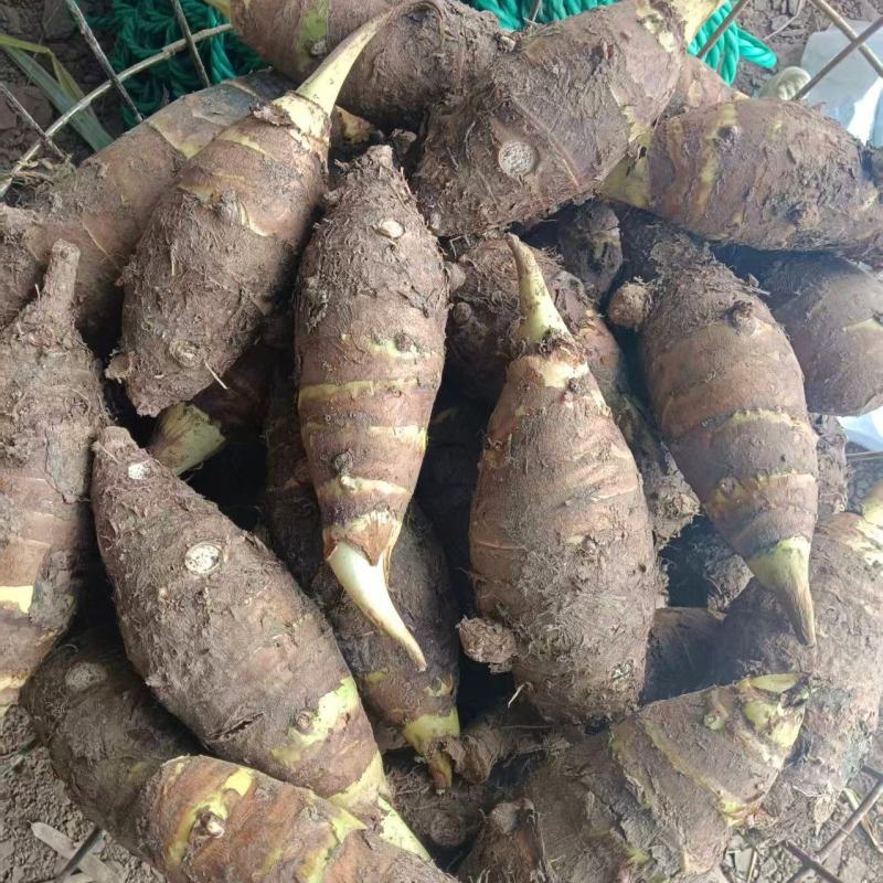 香芋山东香芋自家种植，不打农药，品质保证，欢迎咨询下单