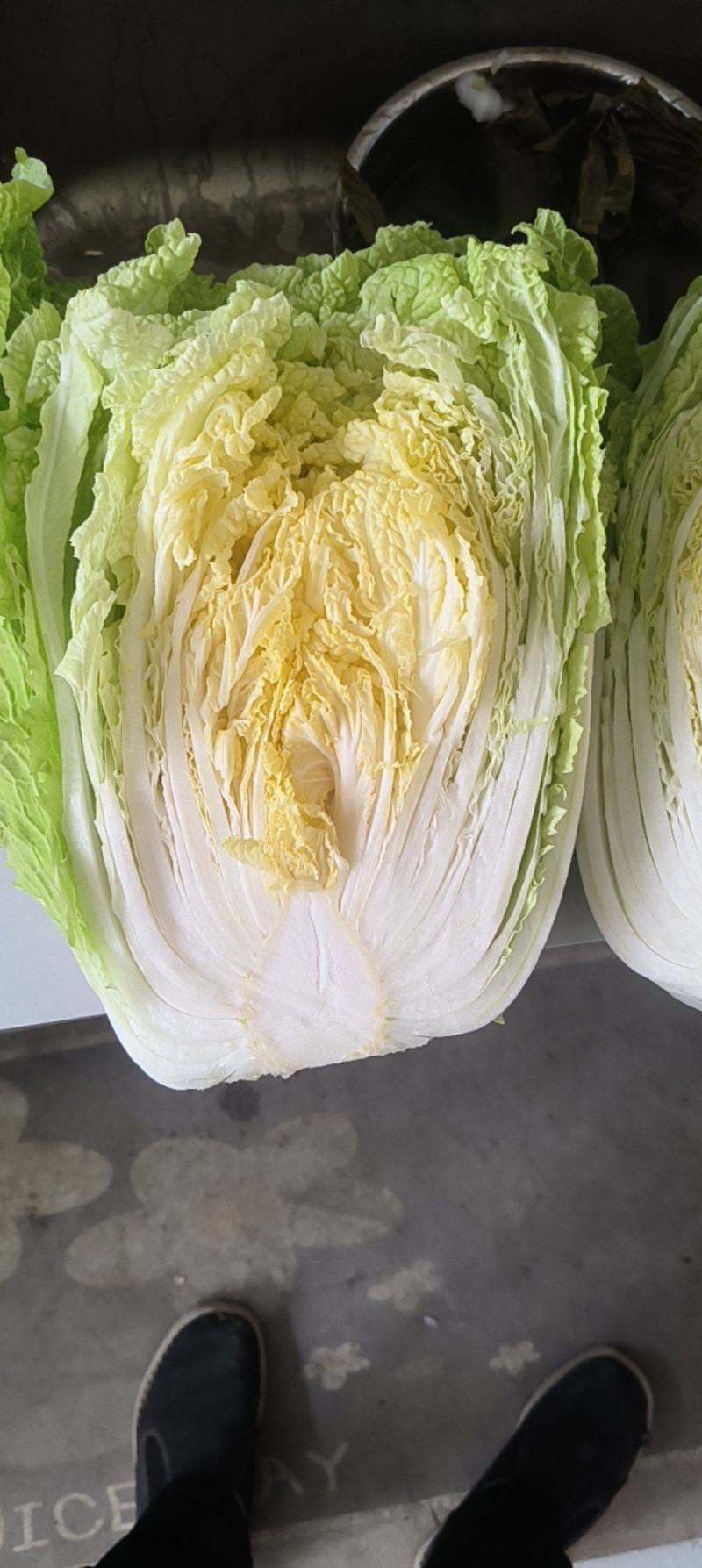 4亩黄心大白菜