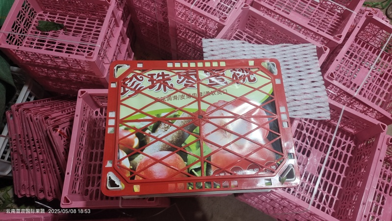 云南枣蜜桃