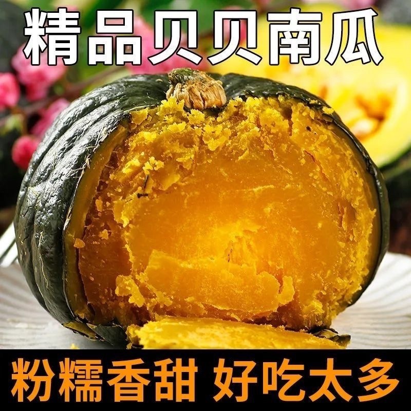 贝贝南瓜粉糯香甜低脂宝宝老人辅食一件代发