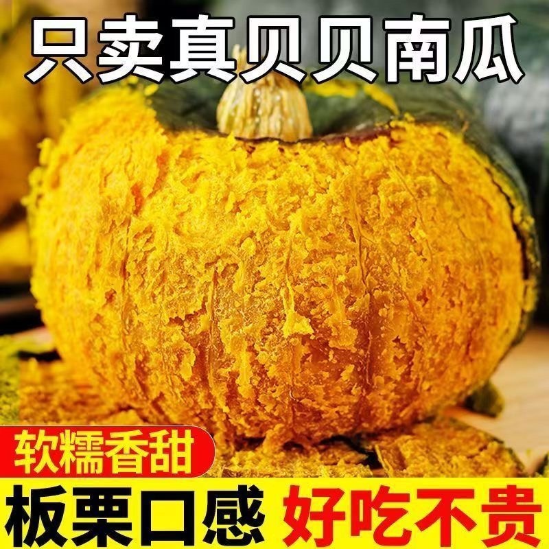 贝贝南瓜粉糯香甜低脂宝宝老人辅食一件代发