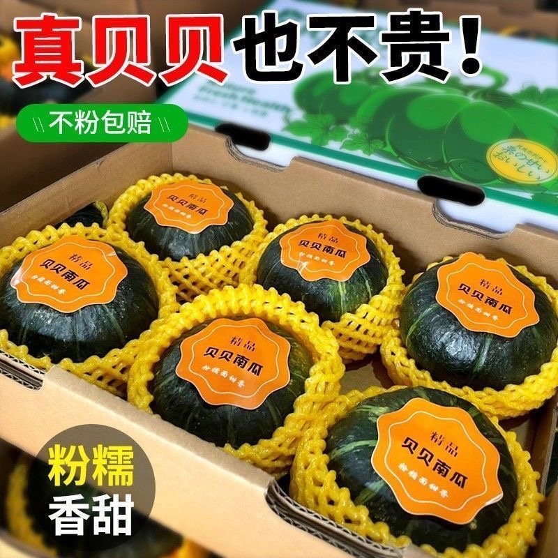 贝贝南瓜粉糯香甜低脂宝宝老人辅食一件代发