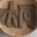 山桐子种子