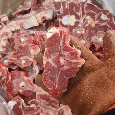 满肉羊蝎子