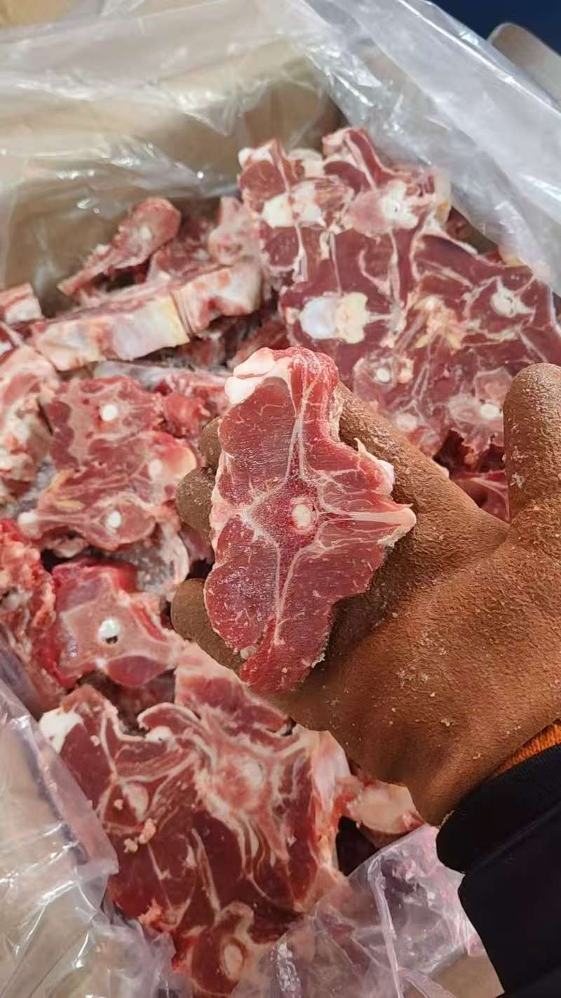 满肉羊蝎子