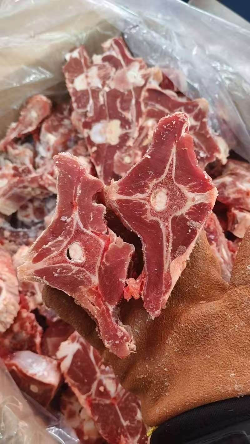 满肉羊蝎子