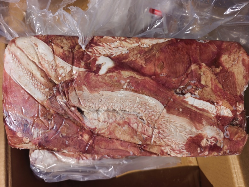 【牛腮肉】冻牛头缓化剔下来的嘴叉子，二次加工产品，纯干货