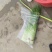 蒜苔白帽蒜薹现摘现发新鲜脆嫩产地直供欢迎来电
