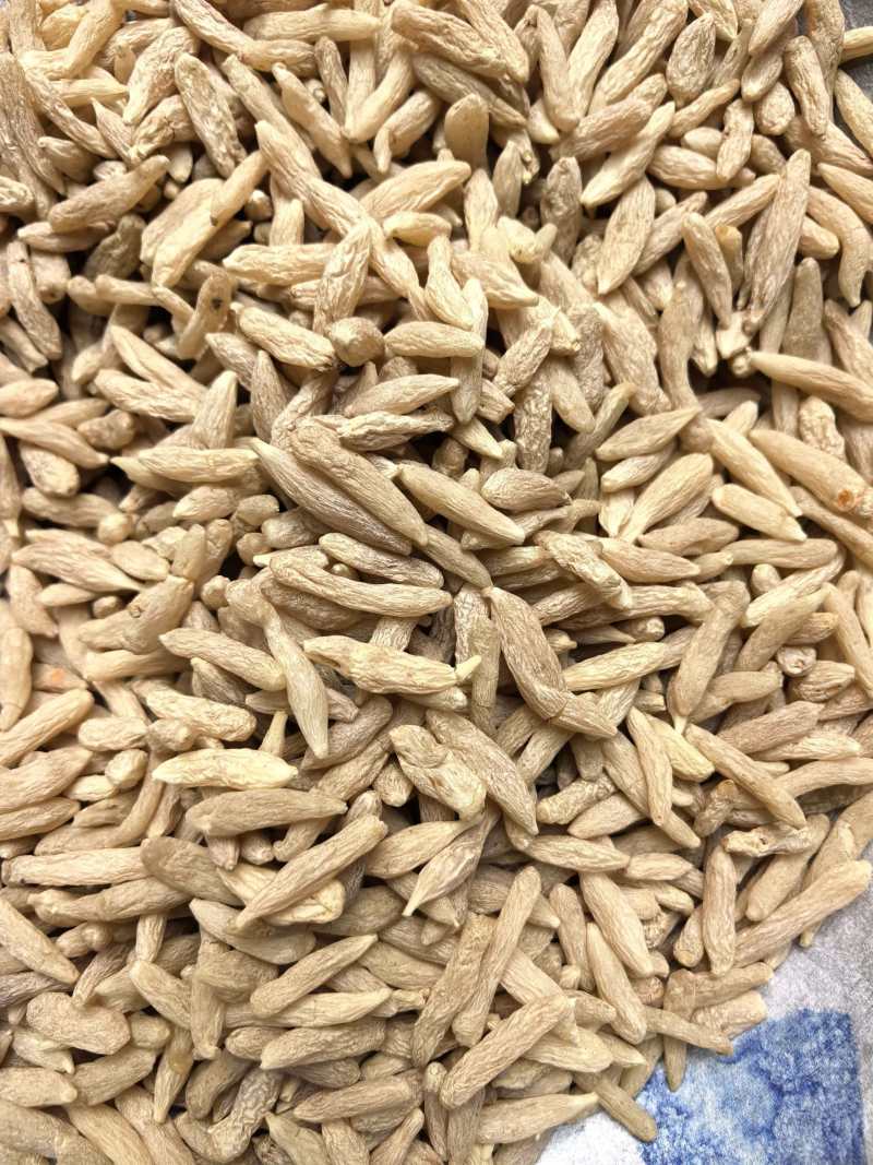 麦冬川麦冬80粒干净无杂质新货品质保证价格实惠