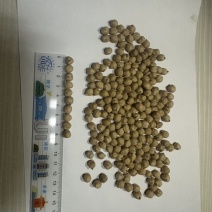 鹰嘴豆