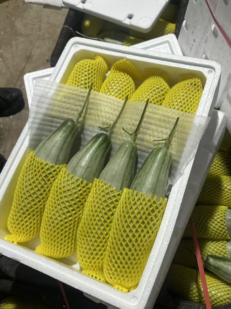【优选】精品羊角蜜甜瓜种植基地直发口感好品质保障