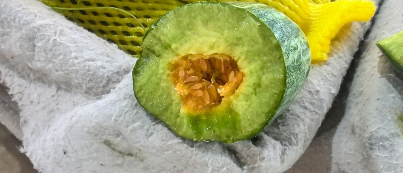 【优选】精品羊角蜜甜瓜种植基地直发口感好品质保障