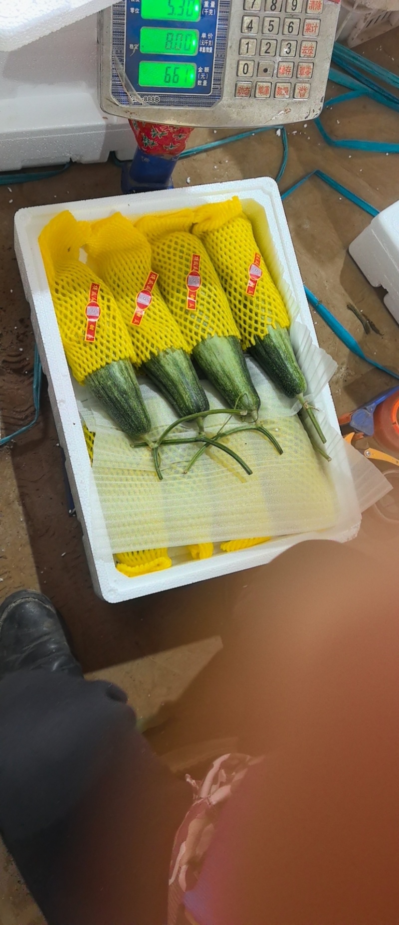【优选】精品羊角蜜甜瓜种植基地直发口感好品质保障