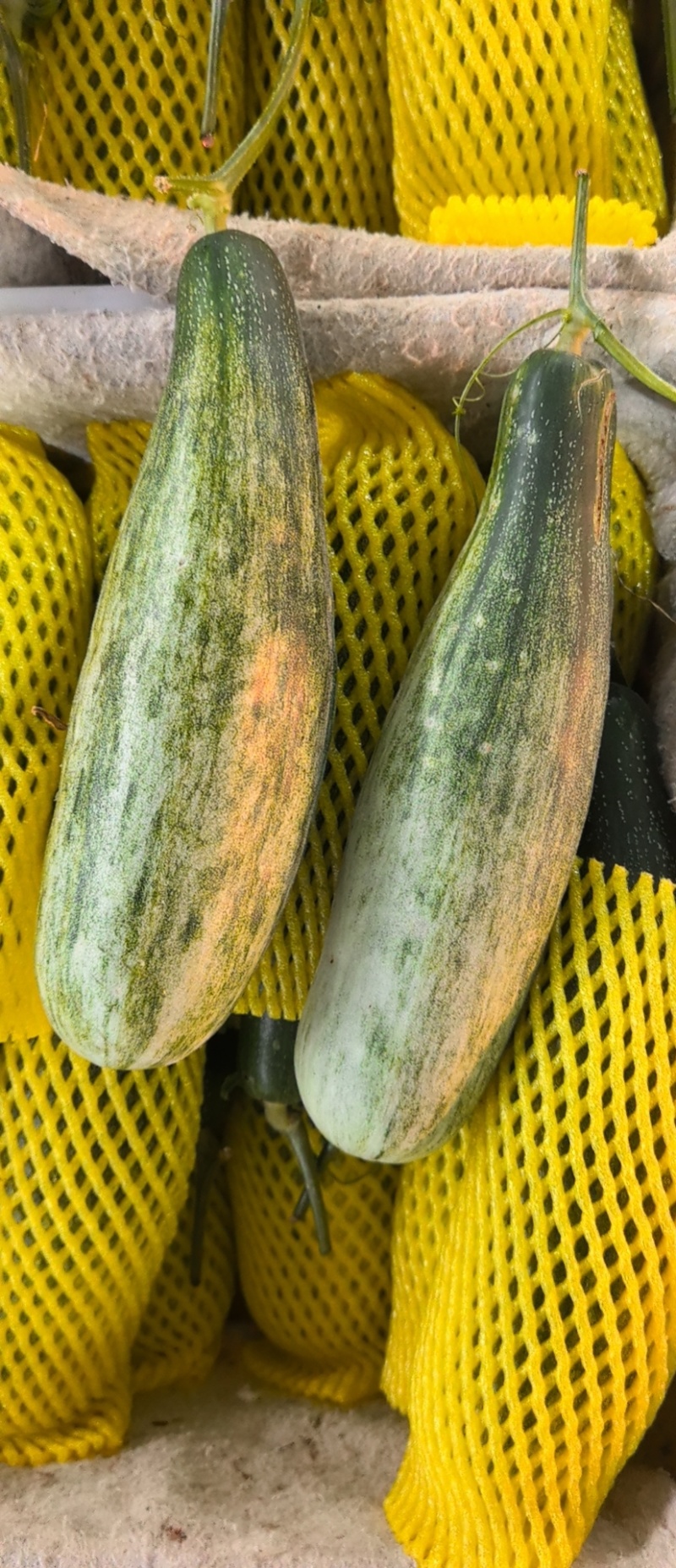 【优选】精品羊角蜜甜瓜种植基地直发口感好品质保障