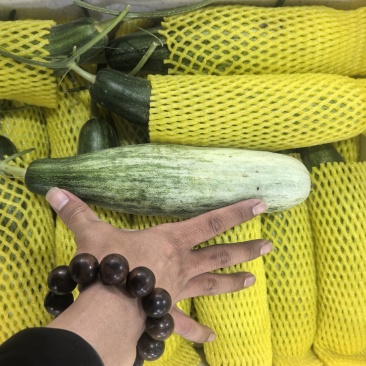 【优选】精品羊角蜜甜瓜种植基地直发口感好品质保障