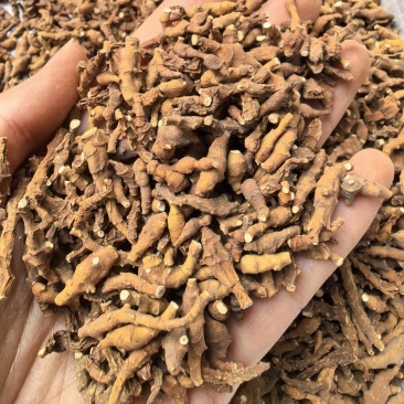 九节菖蒲选货无硫无无杂质只卖好货品质保证价格实惠