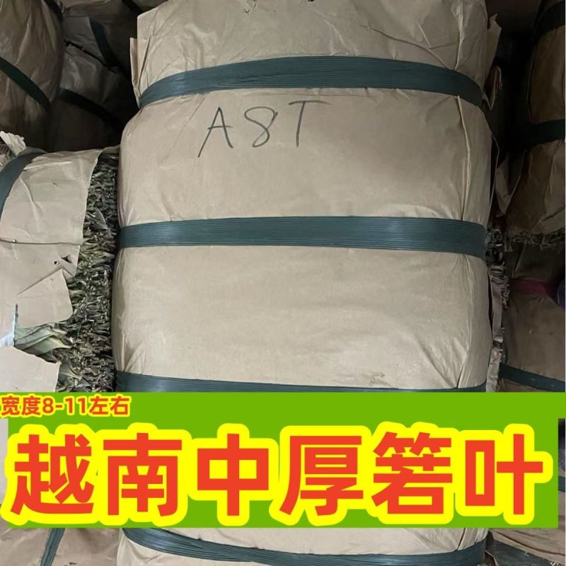 粽叶